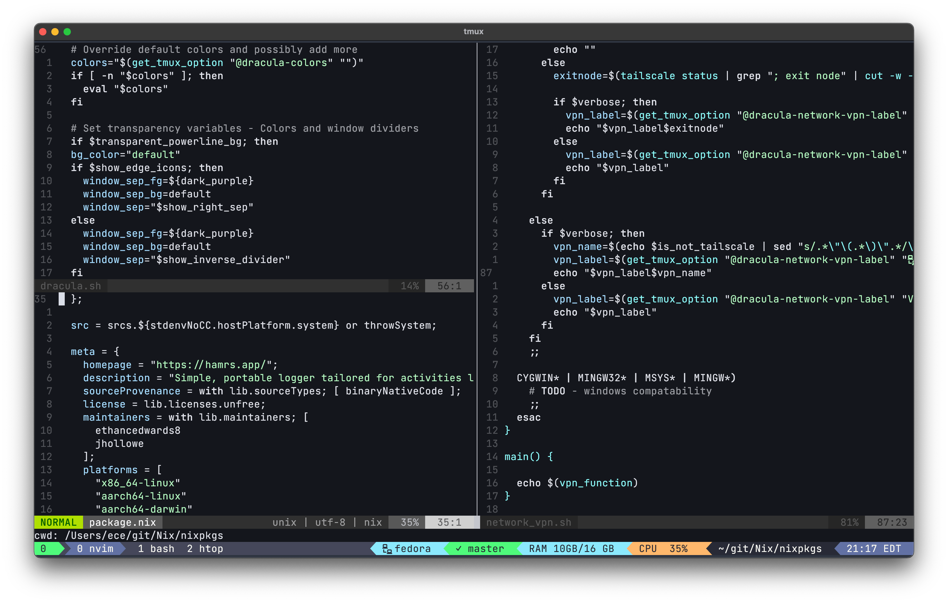 Screenshot of the Dracula Tmux theme
